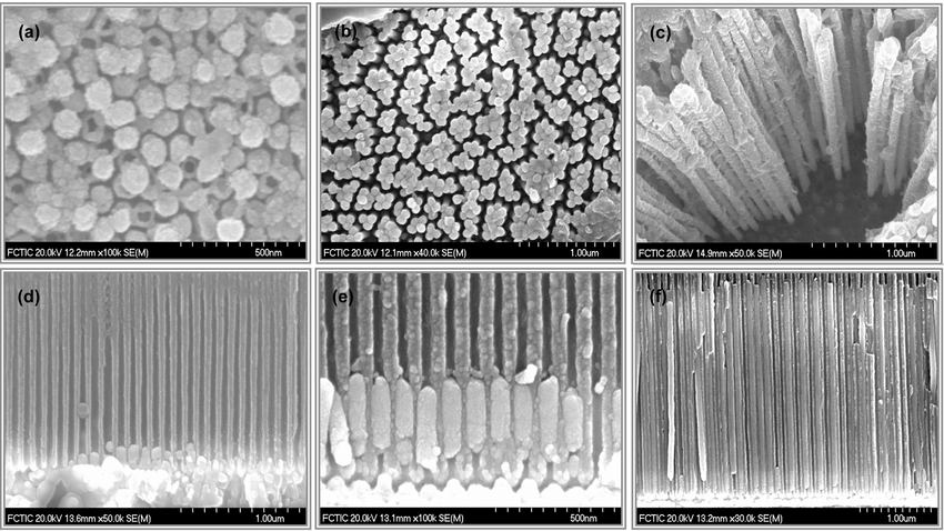 SEM images of Cobalt nanostructures